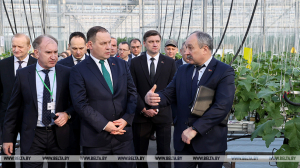Головченко: будем строить и модернизировать тепличные хозяйства для обеспечения овощами по доступным ценам