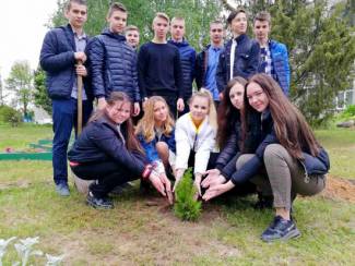 Алея выпускнікоў-2020 у Смалявіцкім раёне