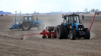 У Беларусі завяршаецца сяўба кукурузы
