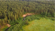 В 21 районе Минской области запрещено посещение лесов
