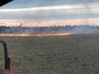 В Смолевичском районе зарегистрированы первые случаи выжигания сухой травы